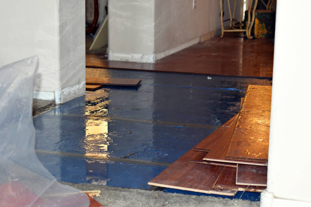 Professional Burst Pipe Cleanup technician working in Jamestown, RI